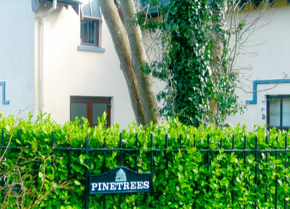 Pinetrees – New Development – 5 dwellings & 11 Apartments & 11 Townhouses