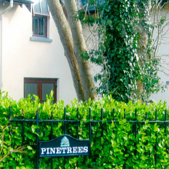 Pinetrees – New Development – 5 dwellings & 11 Apartments & 11 Townhouses